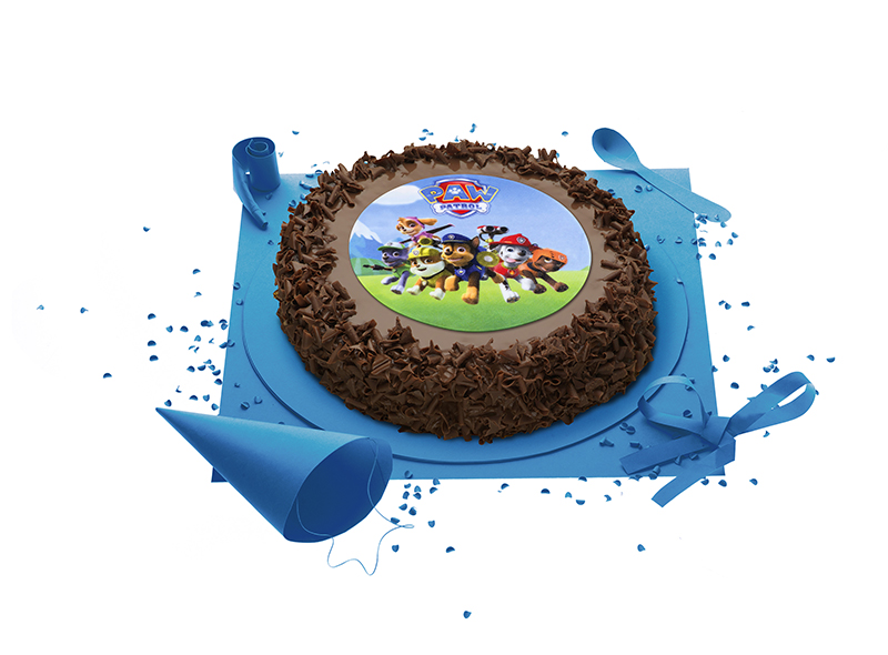 Gâteau Pat Patrouille en pâte à sucre, gâteau thème Pat'Patrouille pour  anniversaire - Super Gâteaux